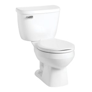  Mansfield Plumbing 4385CTK WHT ADA Summit - Inodoro, color  blanco : Herramientas y Mejoras del Hogar