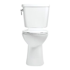Mansfield Plumbing 4135CTK BIS Mansfield 4135Ctkbisc Profit 2 Elongated Bowl Toilet Complete